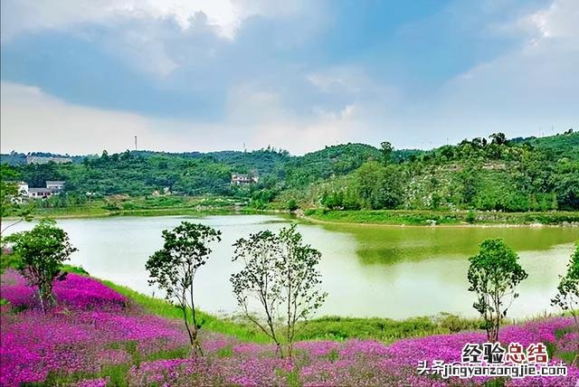 重庆主城游玩攻略必去景点有哪些 重庆主城区十大景点推荐