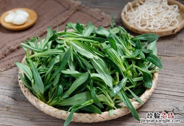 春季各种野菜名称识别方法图片 春天野菜的种类和图片大全