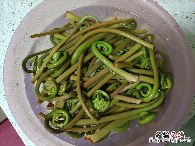 春季各种野菜名称识别方法图片 春天野菜的种类和图片大全