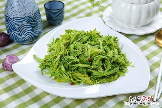 春季各种野菜名称识别方法图片 春天野菜的种类和图片大全