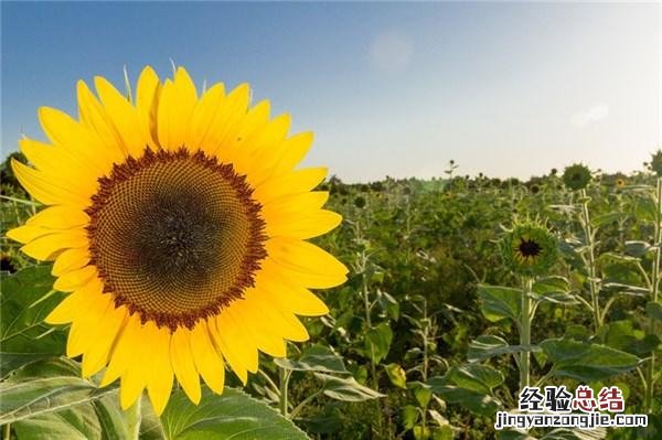 人生感悟励志的短句子非常走心 至自己感悟人生的句子