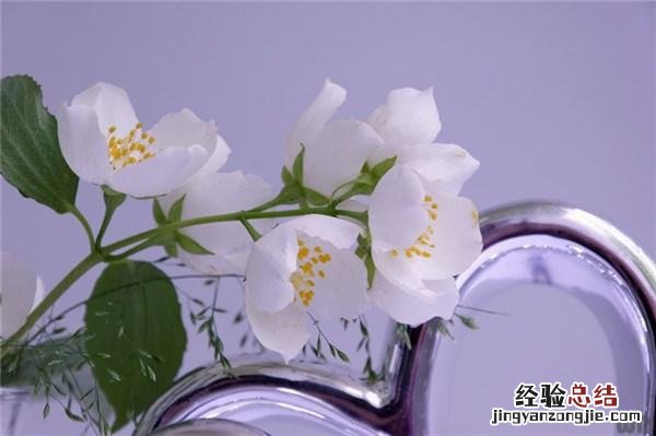 经典通透的人生感悟金句 关于人生感悟的句子