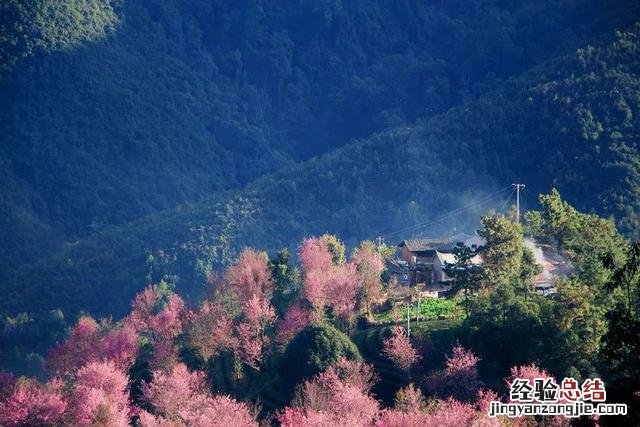 10大旅行地美到心碎值得一去 最值得去的旅行地排名