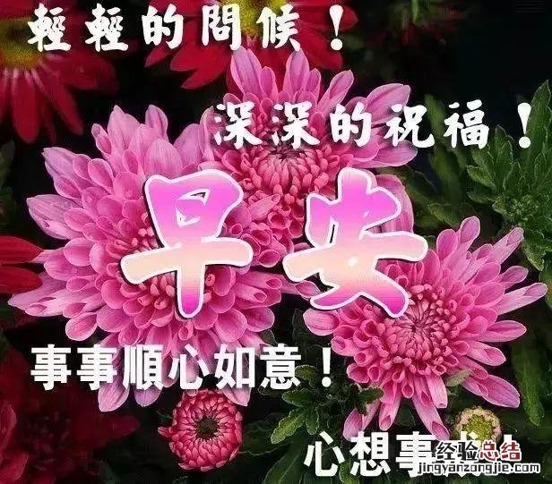 心简单了人就快乐早安 释怀看淡人生感悟的句子