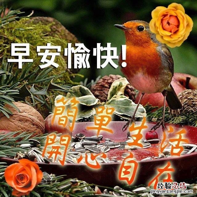 心简单了人就快乐早安 释怀看淡人生感悟的句子