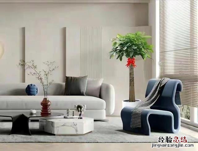 客厅养什么花寓意最好 客厅放什么花最吉祥