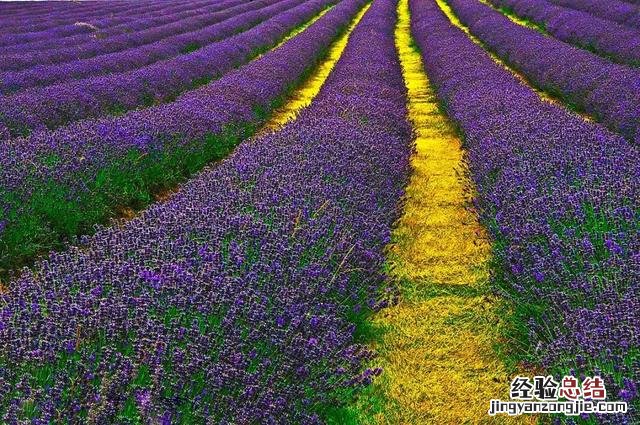 六月最值得去的旅行地排名 6月最适合去旅游的地方