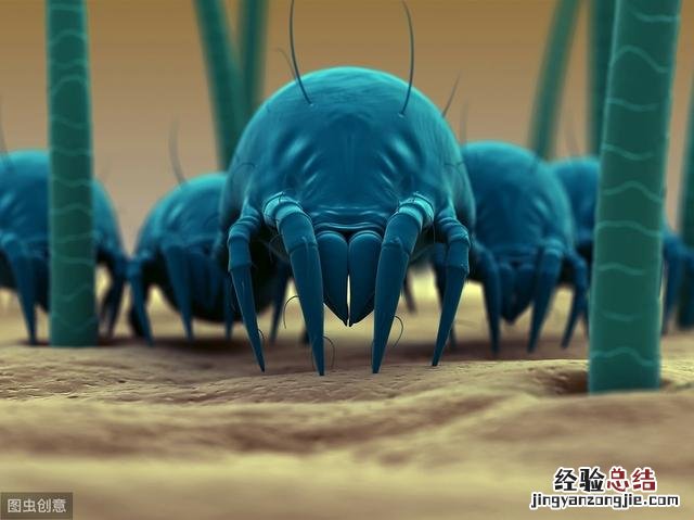 洗衣机脏了只需这一招3年不用清洗 洗衣机弄脏了怎么洗