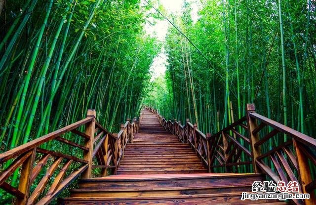 重庆山城旅游线路推荐一下 重庆周边好玩的旅游景点推荐