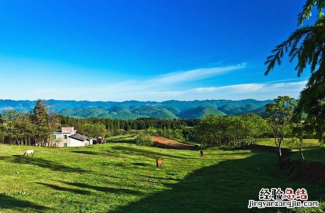 重庆山城旅游线路推荐一下 重庆周边好玩的旅游景点推荐