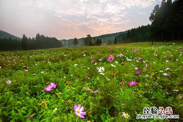 重庆山城旅游线路推荐一下 重庆周边好玩的旅游景点推荐