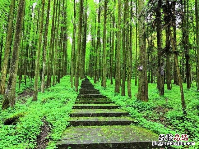 重庆山城旅游线路推荐一下 重庆周边好玩的旅游景点推荐