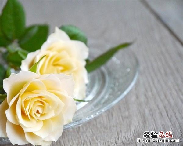人生感悟精辟句子唯美短句 人生意境的经典语录