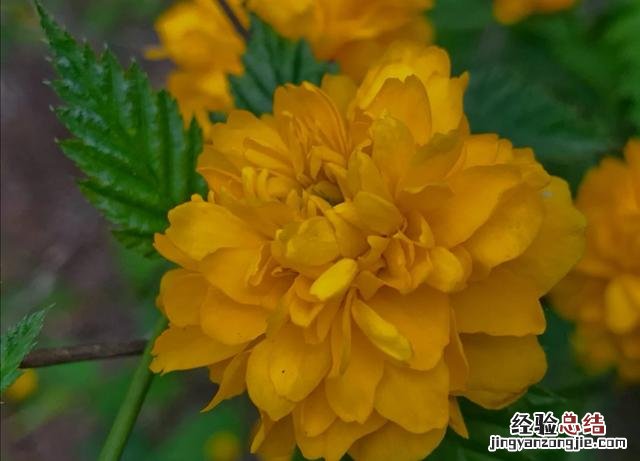 适用于任何作文开头的万能句子 可以用在作文开头的万能句子