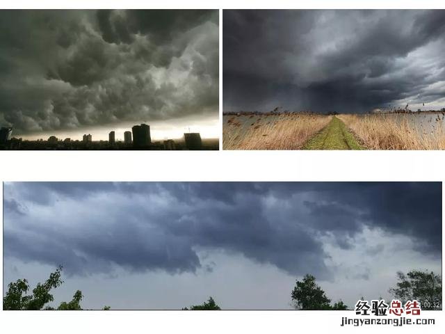 一年级下册语文要下雨了主要内容 一年级14课要下雨了笔记