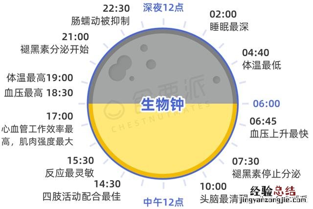 减肚子肉最快的运动 哪个运动减肚子上的肉