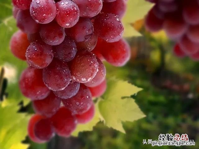 全国各省最出名的特产 中国各个省市的特产