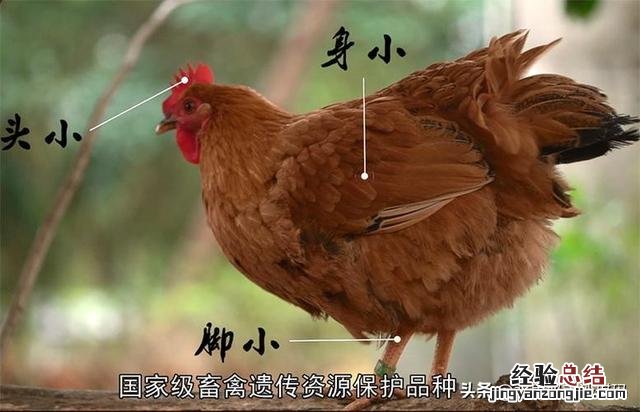 全国各省最出名的特产 中国各个省市的特产