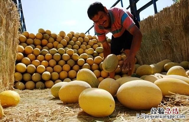 全国各省最出名的特产 中国各个省市的特产