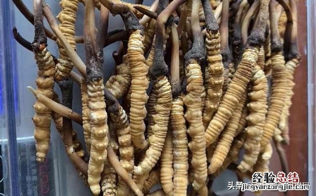 全国各省最出名的特产 中国各个省市的特产