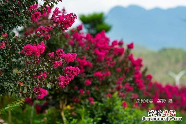 清远市十大最美民宿 清远温泉民宿哪家好