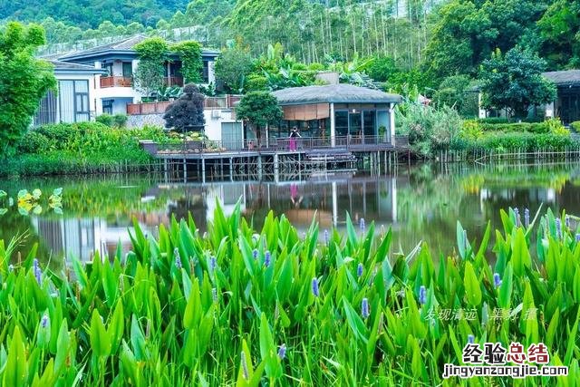 清远市十大最美民宿 清远温泉民宿哪家好