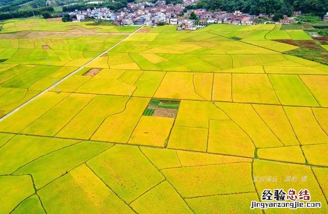 清远市十大最美民宿 清远温泉民宿哪家好