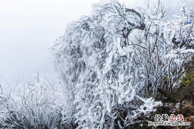 清远市十大最美民宿 清远温泉民宿哪家好