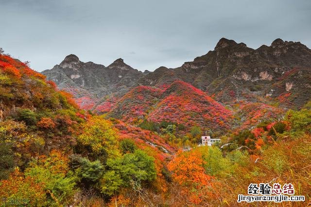 北京赏红叶景点排行榜前十名 北京观赏红叶的最佳地点排行榜