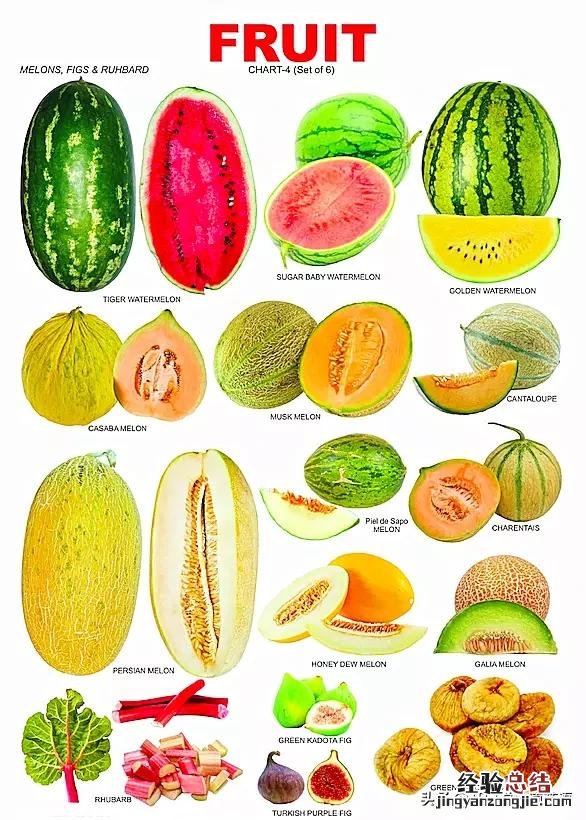 常见的水果英语单词及图 水果英语单词大全有图