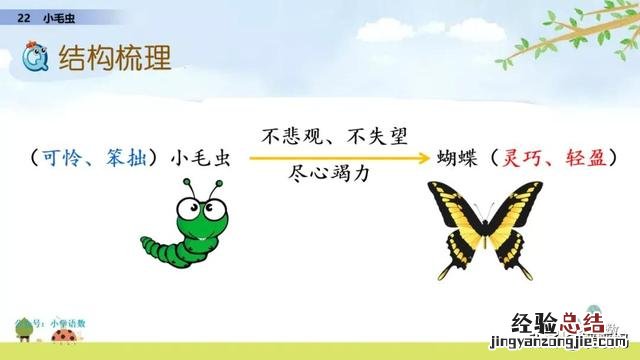 二年级下册语文小毛虫电子课本 二年级语文下册小毛虫课文讲解