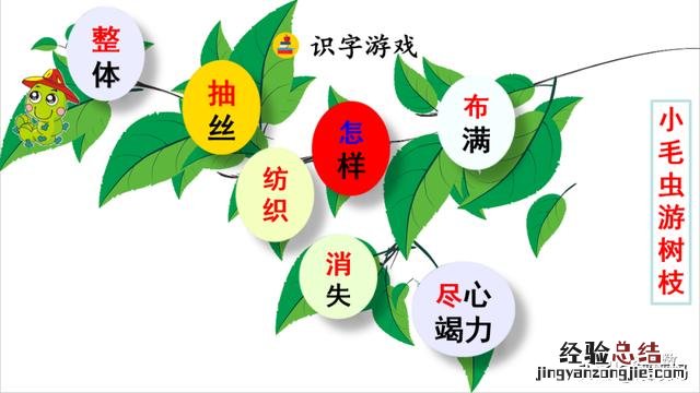 二年级下册语文小毛虫电子课本 二年级语文下册小毛虫课文讲解