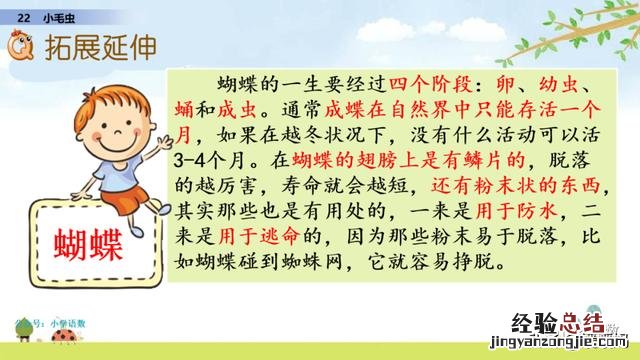 二年级下册语文小毛虫电子课本 二年级语文下册小毛虫课文讲解