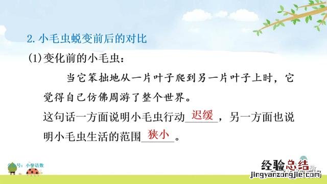 二年级下册语文小毛虫电子课本 二年级语文下册小毛虫课文讲解