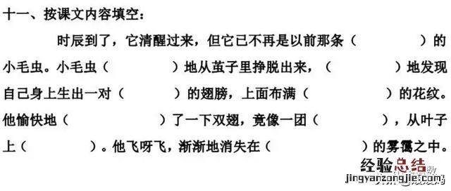 二年级下册语文小毛虫电子课本 二年级语文下册小毛虫课文讲解