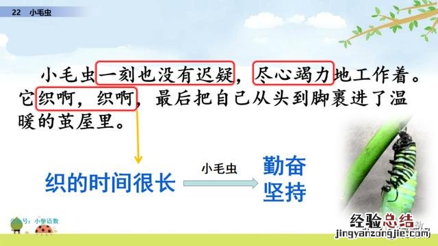 二年级下册语文小毛虫电子课本 二年级语文下册小毛虫课文讲解
