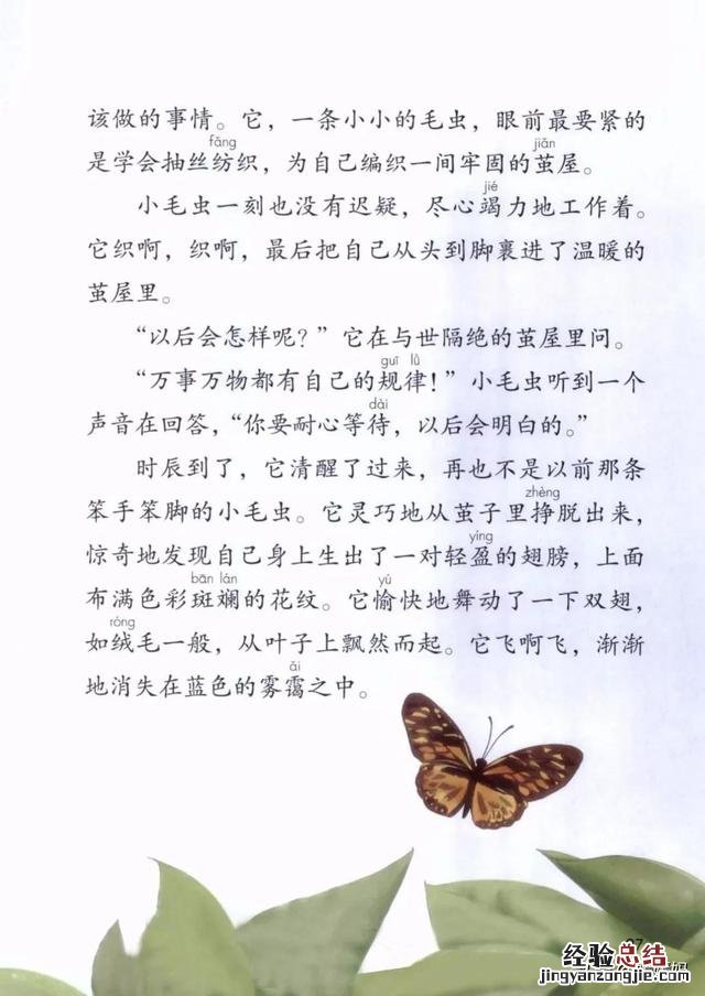 二年级下册语文小毛虫电子课本 二年级语文下册小毛虫课文讲解