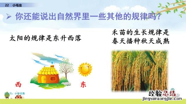 二年级下册语文小毛虫电子课本 二年级语文下册小毛虫课文讲解