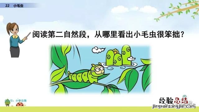 二年级下册语文小毛虫电子课本 二年级语文下册小毛虫课文讲解