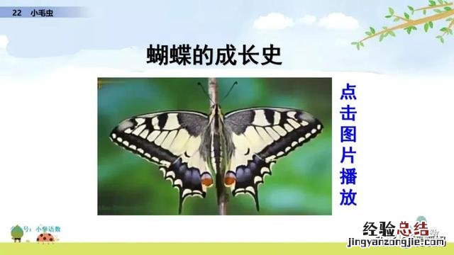 二年级下册语文小毛虫电子课本 二年级语文下册小毛虫课文讲解