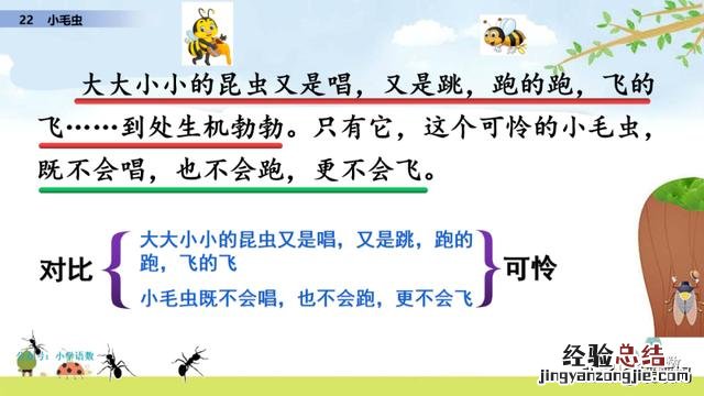 二年级下册语文小毛虫电子课本 二年级语文下册小毛虫课文讲解