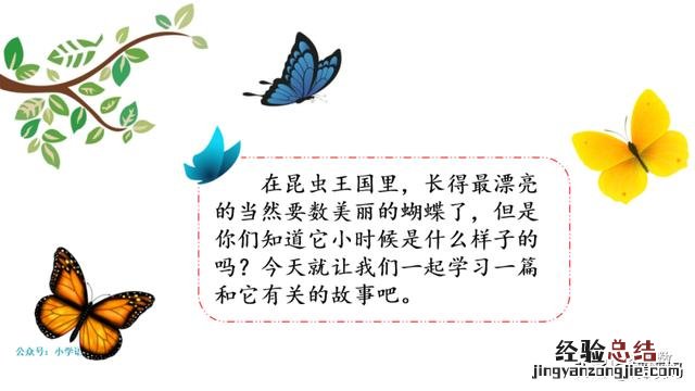 二年级下册语文小毛虫电子课本 二年级语文下册小毛虫课文讲解