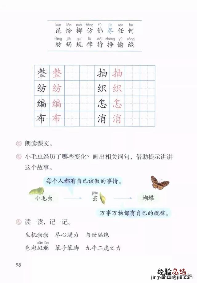 二年级下册语文小毛虫电子课本 二年级语文下册小毛虫课文讲解