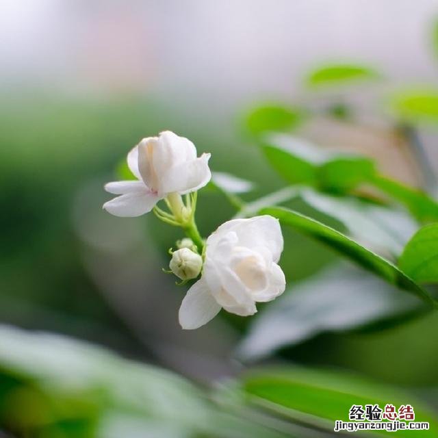 人生最感悟的句子适合发朋友圈的 朋友圈精辟的人生感悟短句