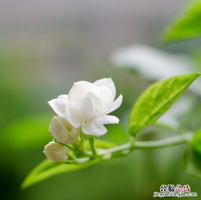 人生最感悟的句子适合发朋友圈的 朋友圈精辟的人生感悟短句