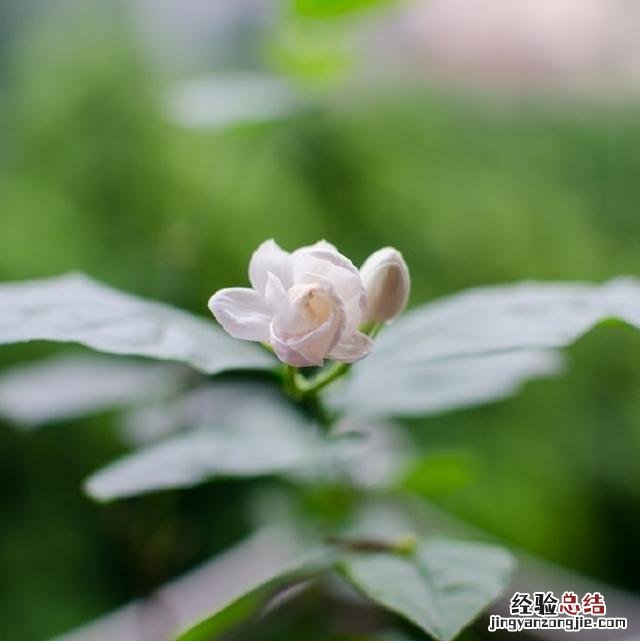 人生最感悟的句子适合发朋友圈的 朋友圈精辟的人生感悟短句