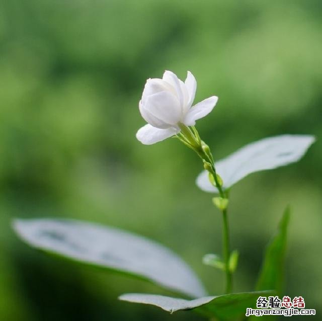 人生最感悟的句子适合发朋友圈的 朋友圈精辟的人生感悟短句