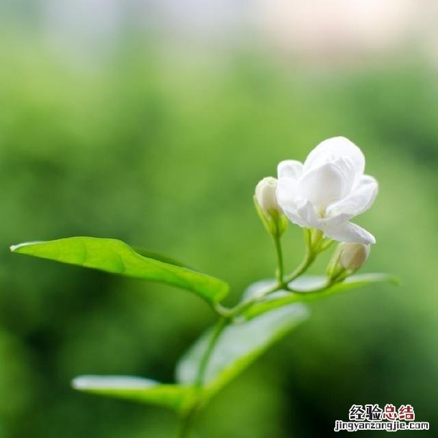 人生最感悟的句子适合发朋友圈的 朋友圈精辟的人生感悟短句