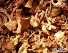 干蘑菇泡了一天一夜有毒么 干蘑菇泡多久可以食用