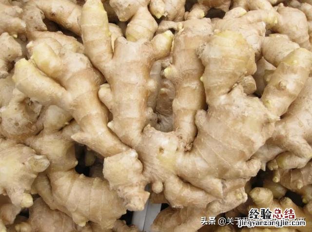生姜怎样保存小妙招 如何保存生姜可以放久一点